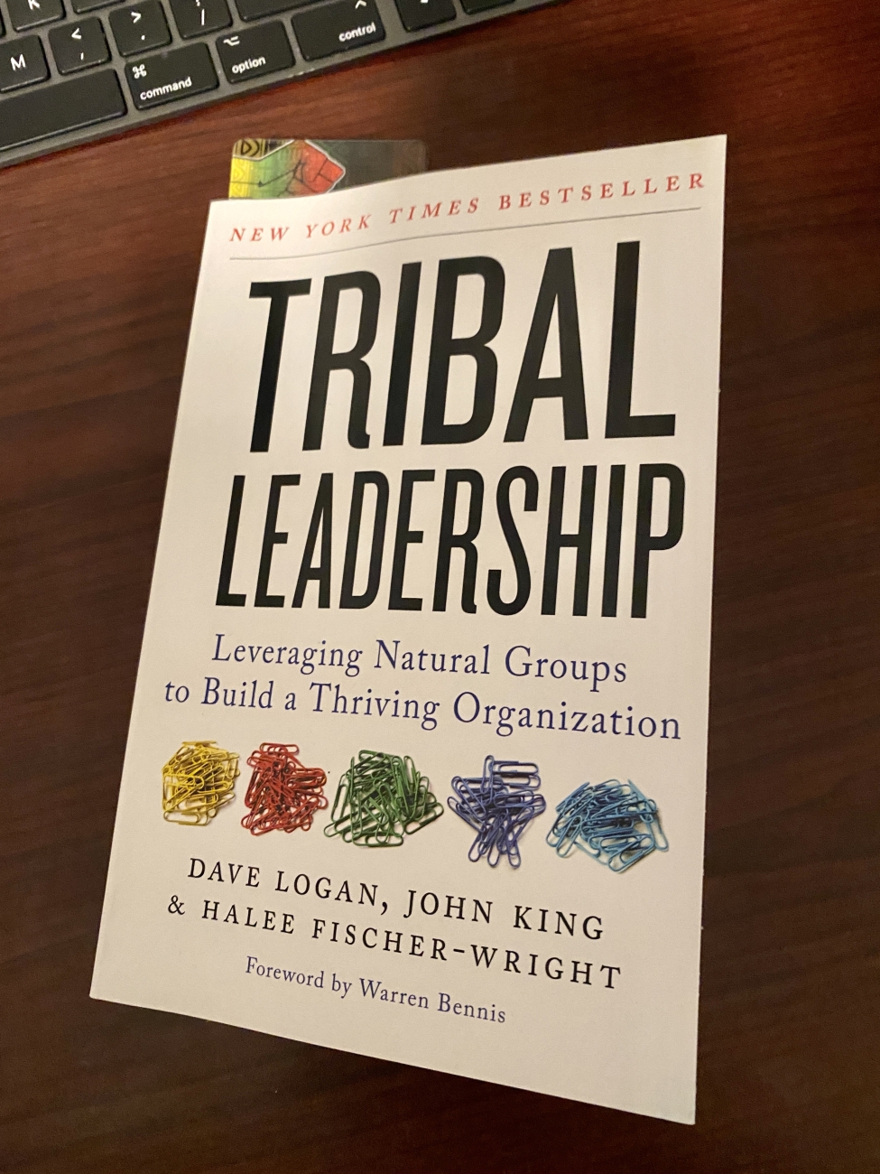 Tribal Leadership